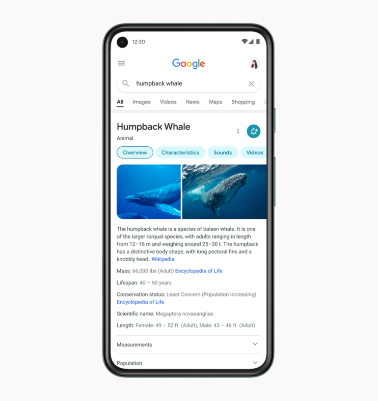 Google провел редизайн выдачи в мобильной версии поисковика
