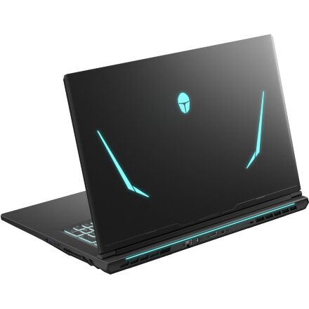 Ноутбук Thunderobot 911 X17 (911X17-i7136H56C1Q165MB)
