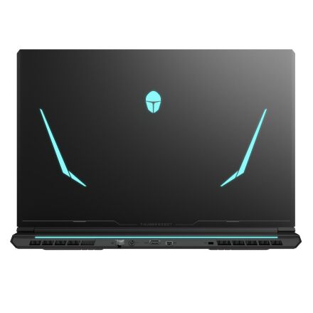 Ноутбук Thunderobot 911 X17 (911X17-i7136H56C1Q165MB)