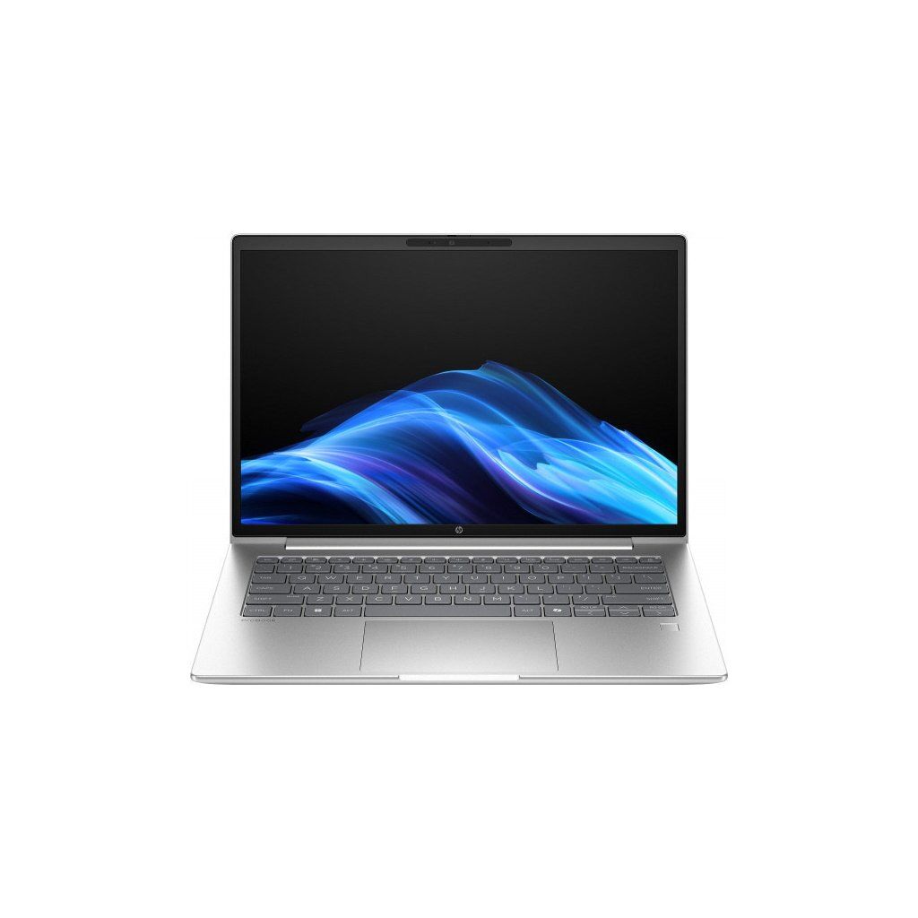 Ноутбук HP ProBook 4 G1a (D4VG2ET)