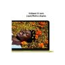Ноутбук Apple MacBook Neo A3404 (MHFD4UA/A)