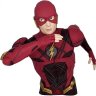 Бюст скарбничка DC Flash Bust Bank Флеш