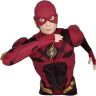 Бюст скарбничка DC Flash Bust Bank Флеш