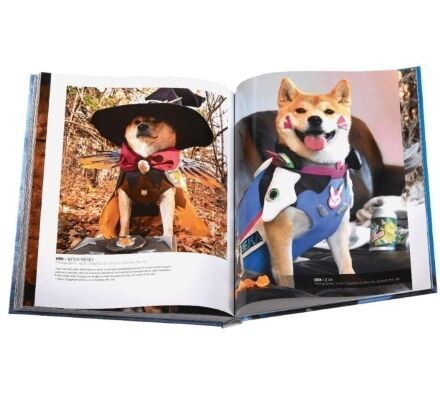 Книга Blizzard Cosplay: Tips, Tricks and Hints Hardcover (Тверда палітурка) (Eng)